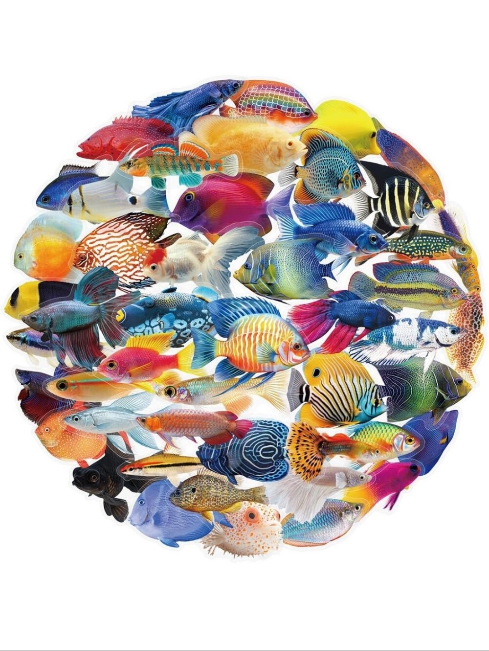 Multicolor Tropical Fish Stickers - Decorative Aquarium Decals